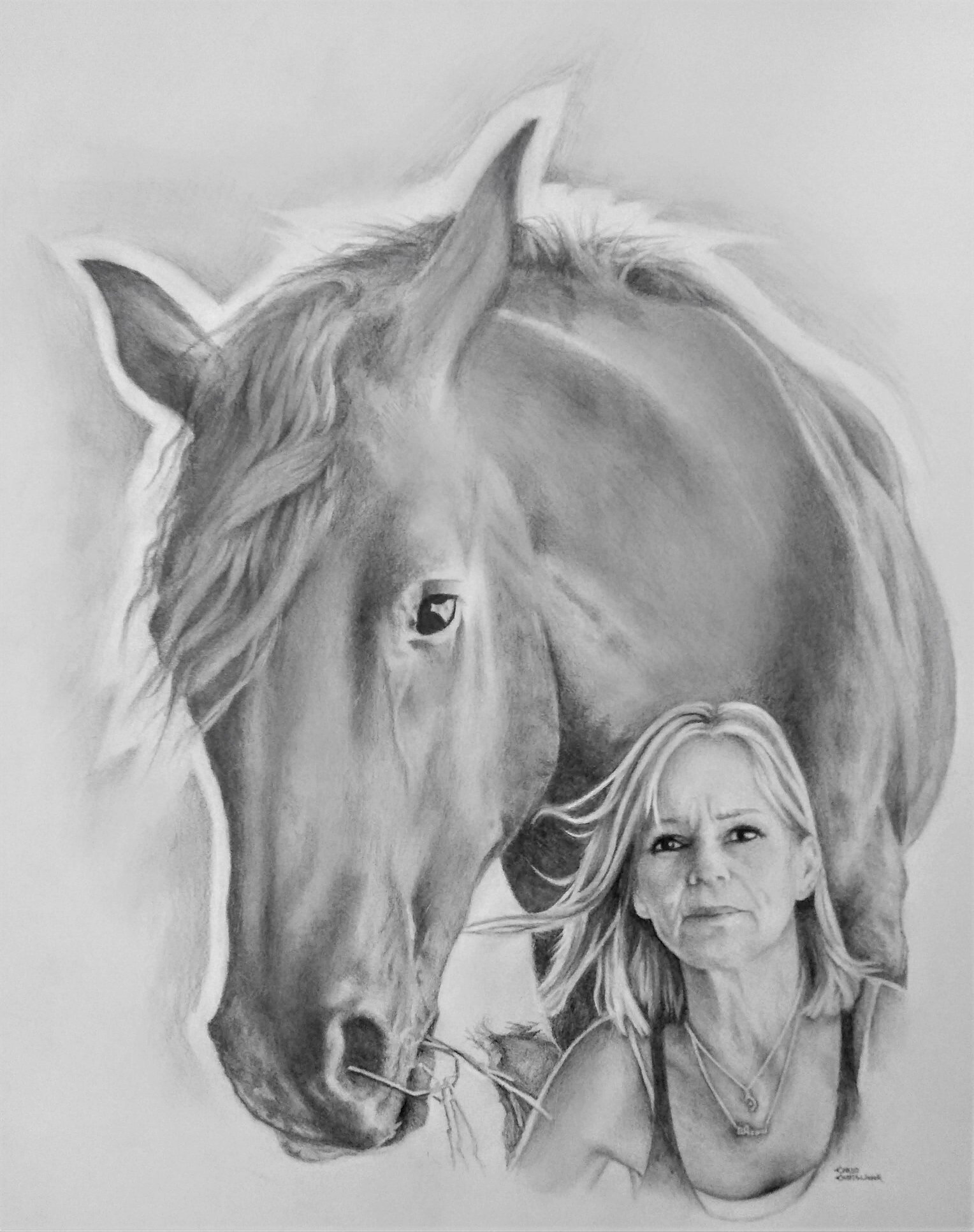 Spiritlife Portraits - Pencil Horse Portraits